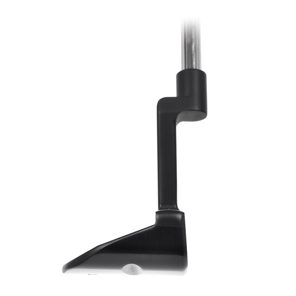 Side profile of the T.P. Mills Huey PVD compact mallet putter